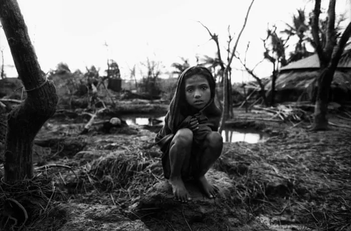 抖阴 - 消失的部落获奖纪录片海报